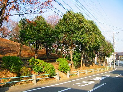 公園の外周です。