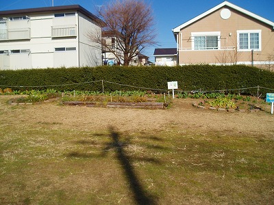花壇です。