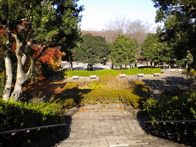 園路から植栽を望んでいます。