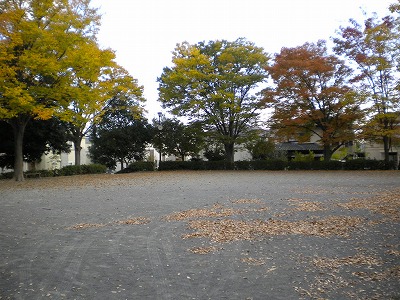 広場です。