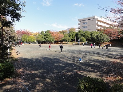 上の段の広場です。