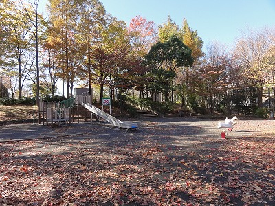 複合遊具です。