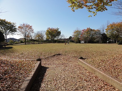 円形の広場です。