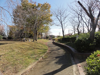 円形の広場をめぐる園路です。