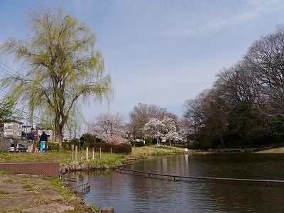 池です。