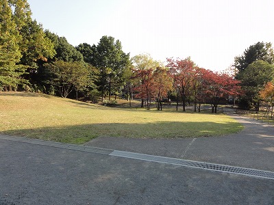 下段の植栽地です。