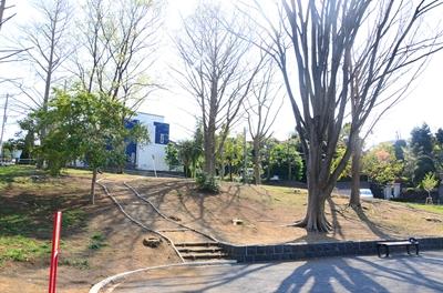 林を散策する園路です。
