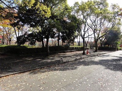 道路から見た公園です。