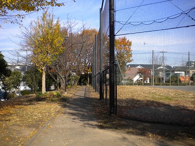 防球ネットと園路です。