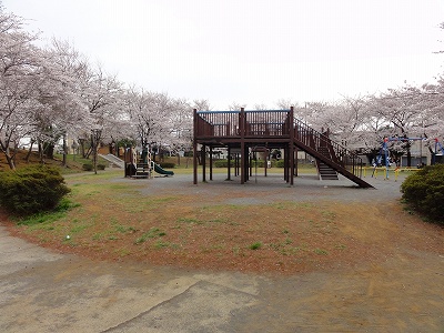 複合遊具です。