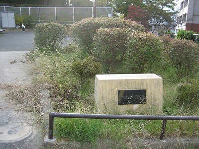園名石です。