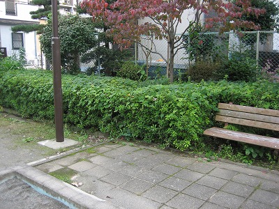 植栽とベンチです。