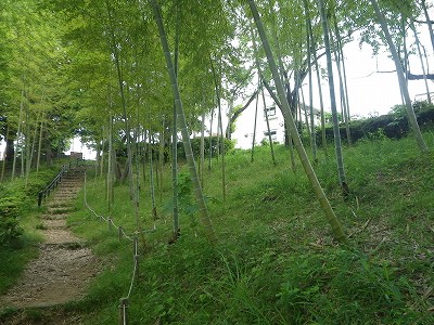竹林です。