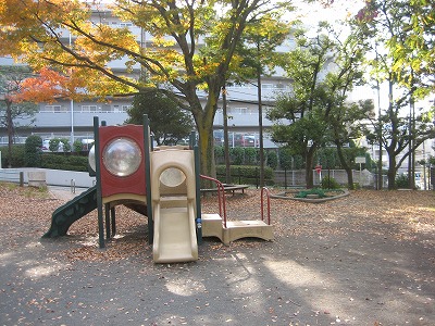 複合遊具です。