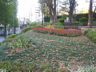 法面の植栽地です。
