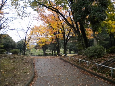 黄葉の園路です。