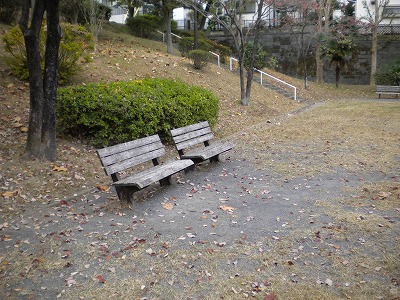 ベンチです。