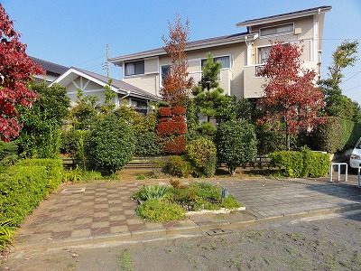 園内の広場です。
