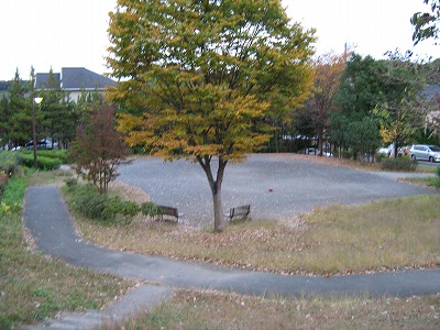 広場です。