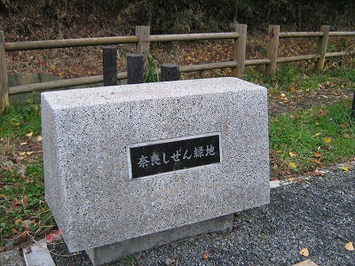 園名石です。
