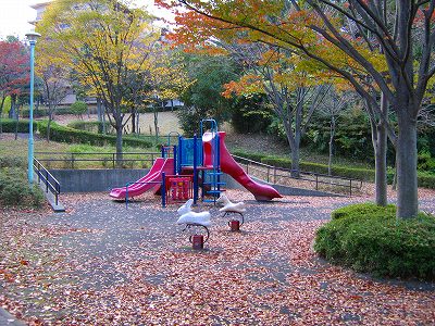 複合遊具とスプリング遊具です。