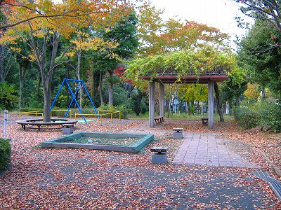 砂場、すべり台、フジ棚です。