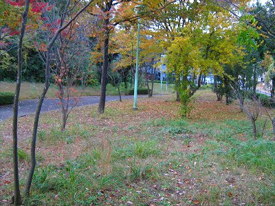 植栽地です。