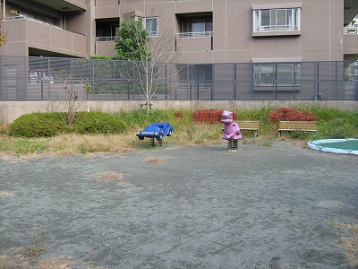スプリング遊具です。