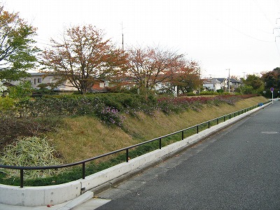 公園の外周部です。