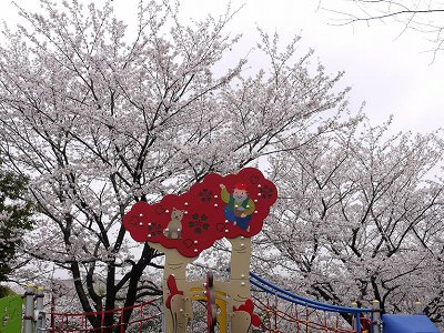 はなさかじいさんの複合遊具です。