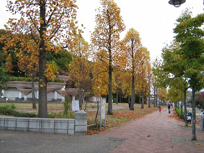 公園の外周と歩道です。