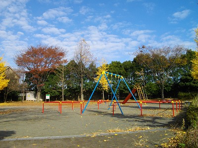ブランコです。