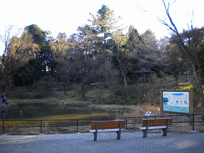 池とベンチです。