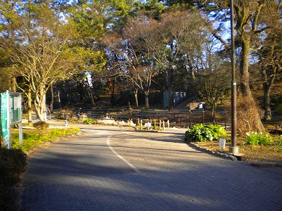 園路です。