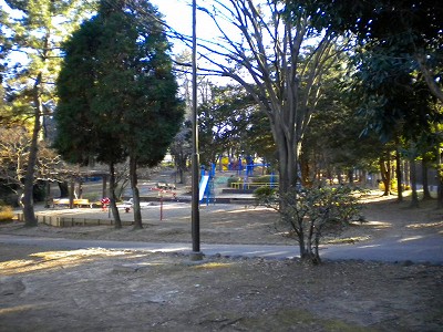 園内の樹木です。