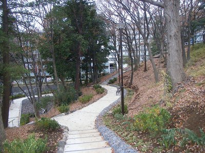 斜面の植栽地です。