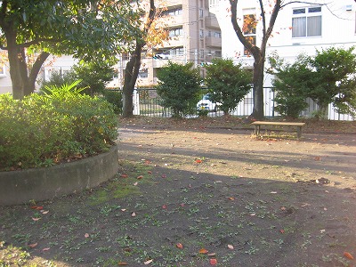 植栽とベンチです。