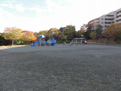 広場と遊具です。