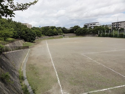 多目的広場です。