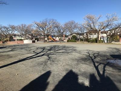 広場の全景です。