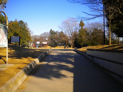 入口から公園内を見ています。