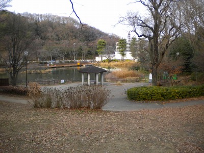 公園の奥から見た池です。