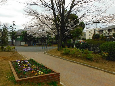 花壇と園路です。