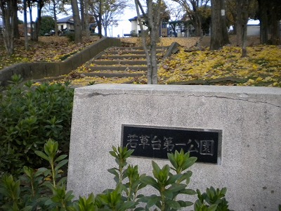 園名石です。