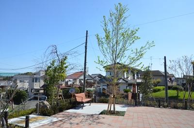 舗装された広場です。