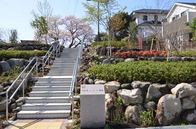 桜に続く階段です。