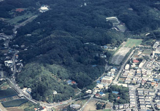 住吉神社の社叢林