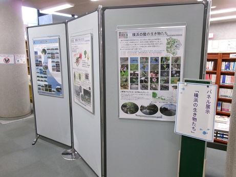 パネル展示「横浜の生き物たち」