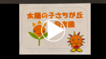 太陽の子さちが丘保育園の動画リンク