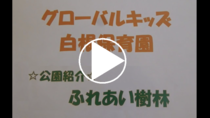 グローバルキッズ白根保育園「公園紹介 ふれあい樹林」の動画リンク